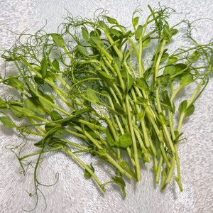 Pea Shoots Microgreens