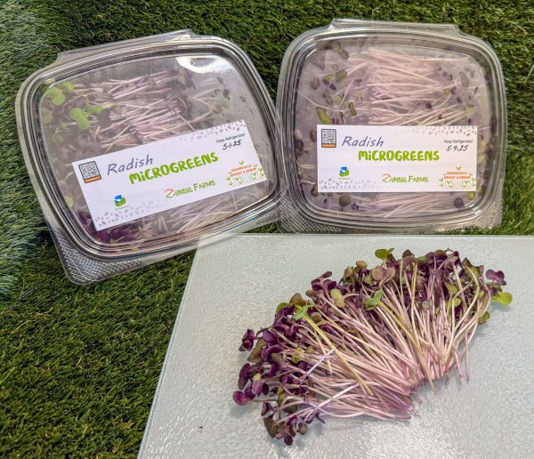 Radish Microgreens - Image 2