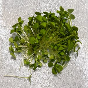 Basil Microgreens