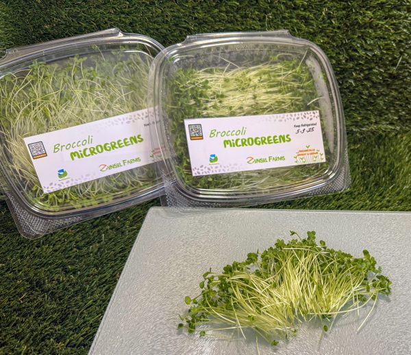 Broccoli Microgreens - Image 2