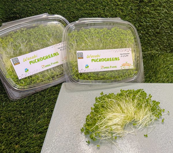 Wasabi Mustard Microgreens - Image 2
